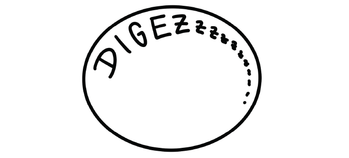 Eine Logovariante von digezz