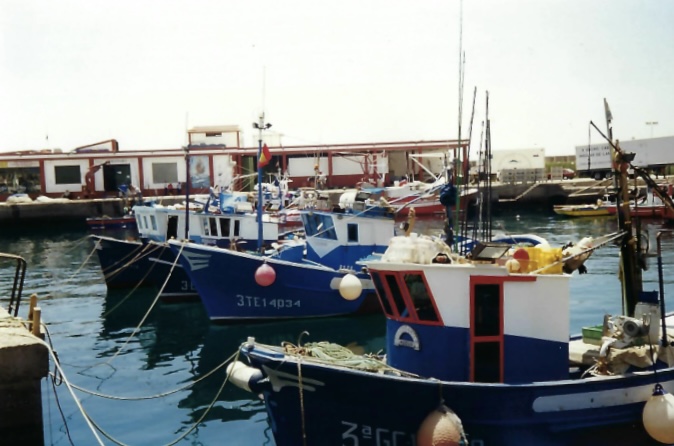 Hafen von Gran Canaria, Kodak Gold 200