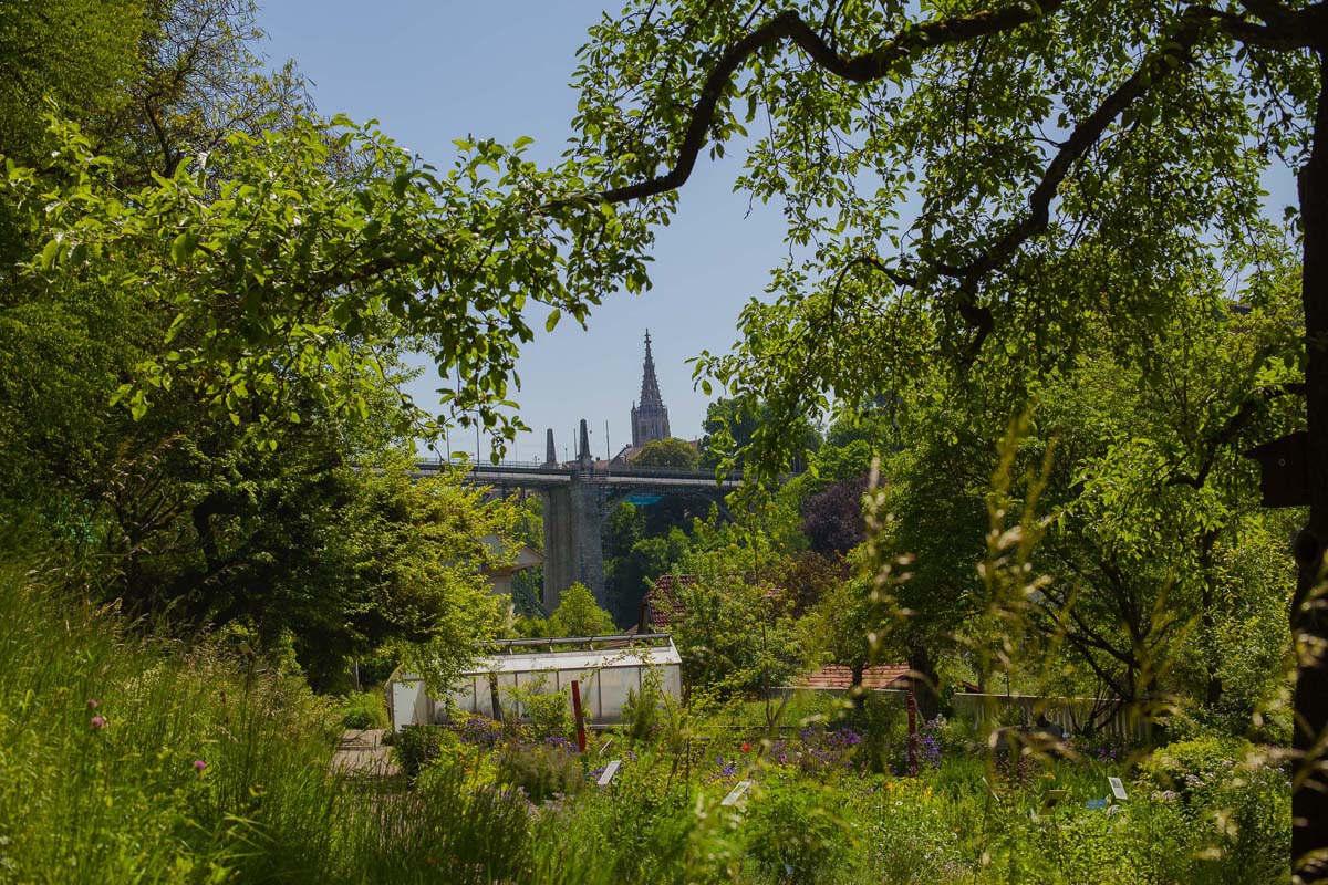 BERN: ORTE ZUM SEIN