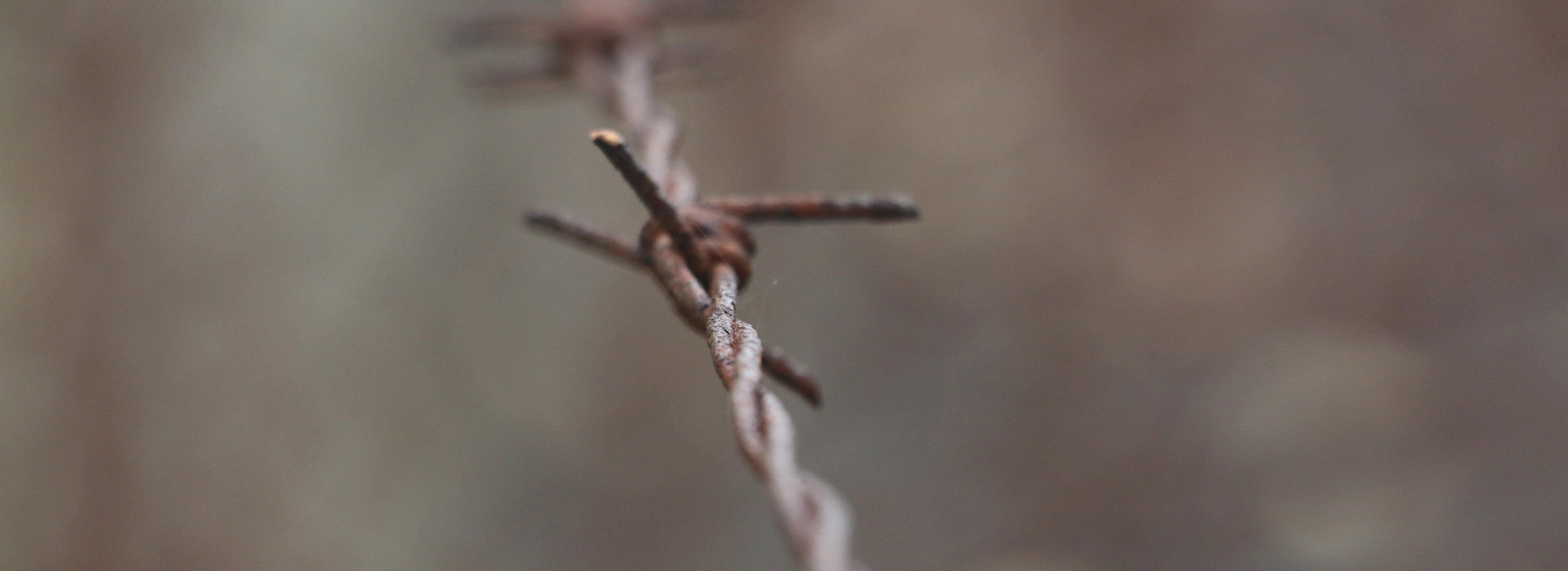 Stacheldraht